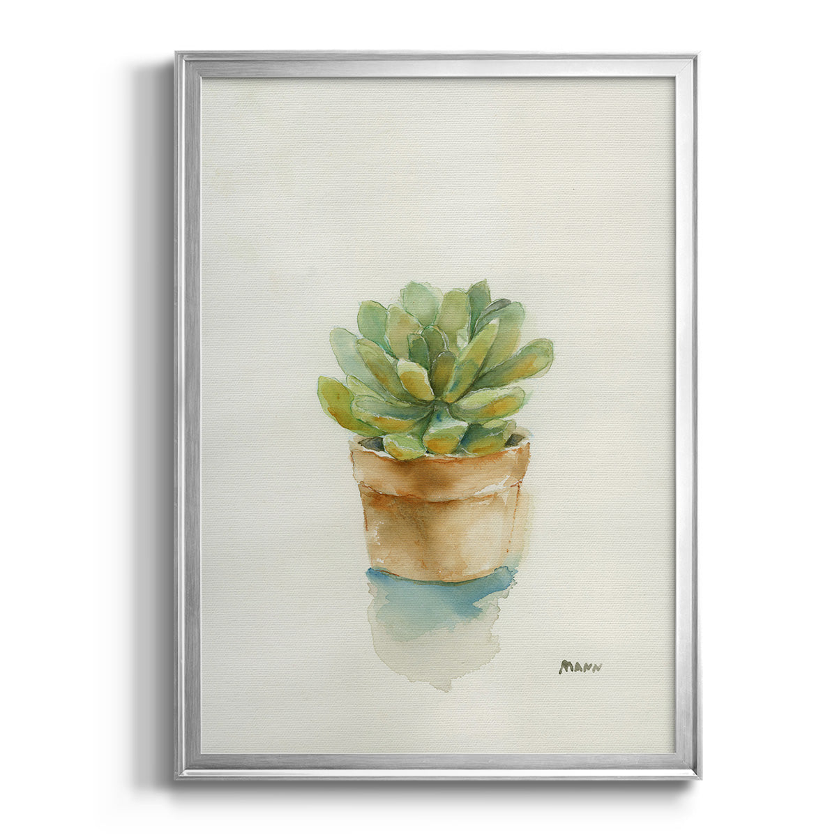 Succulent II - Modern Framed Canvas Print