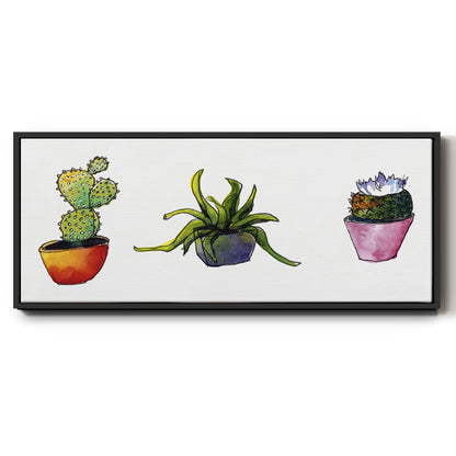 Vibing Succulents I - Floater Framed Canvas Print