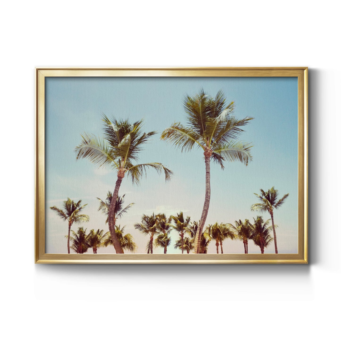 Aruba Palm - Modern Framed Canvas Print