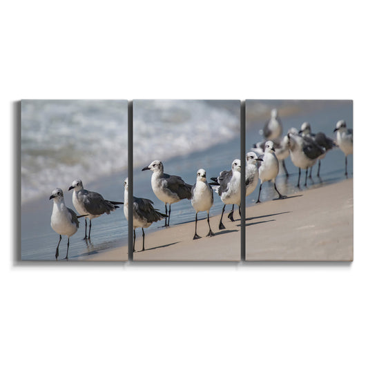 Three-panel canvas wall art featuring seagulls along coastal shoreline on white background.