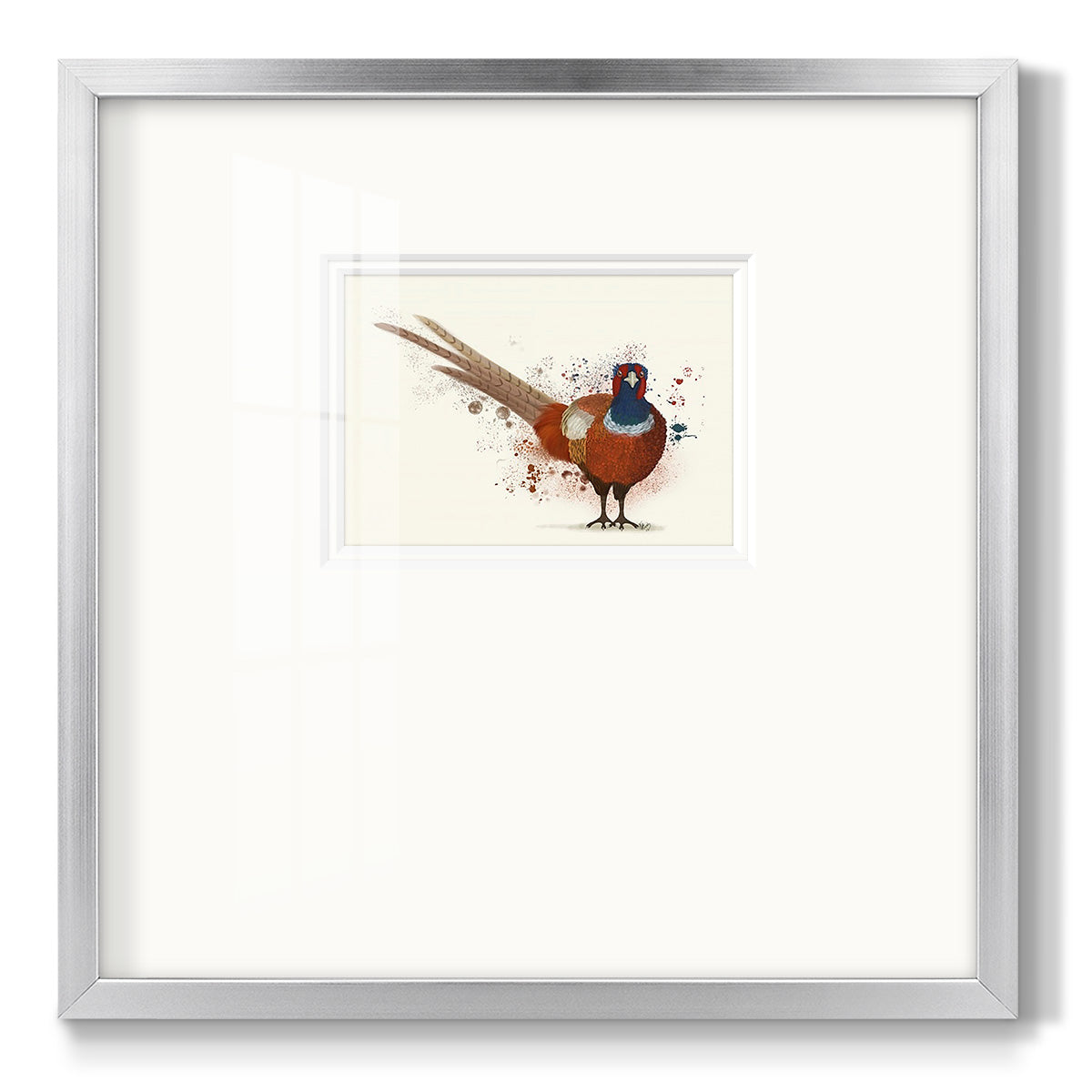 Pheasant Splash 7 Premium Framed Print Double Matboard