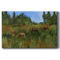 The Grass Is Always Greener Premium Gallery Wrapped Canvas - Ready to Hang