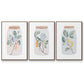 Nature Jar I - Floater Framed Canvas Set