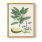 Buchoz Tropicals IV - Restickable Framed Art Print
