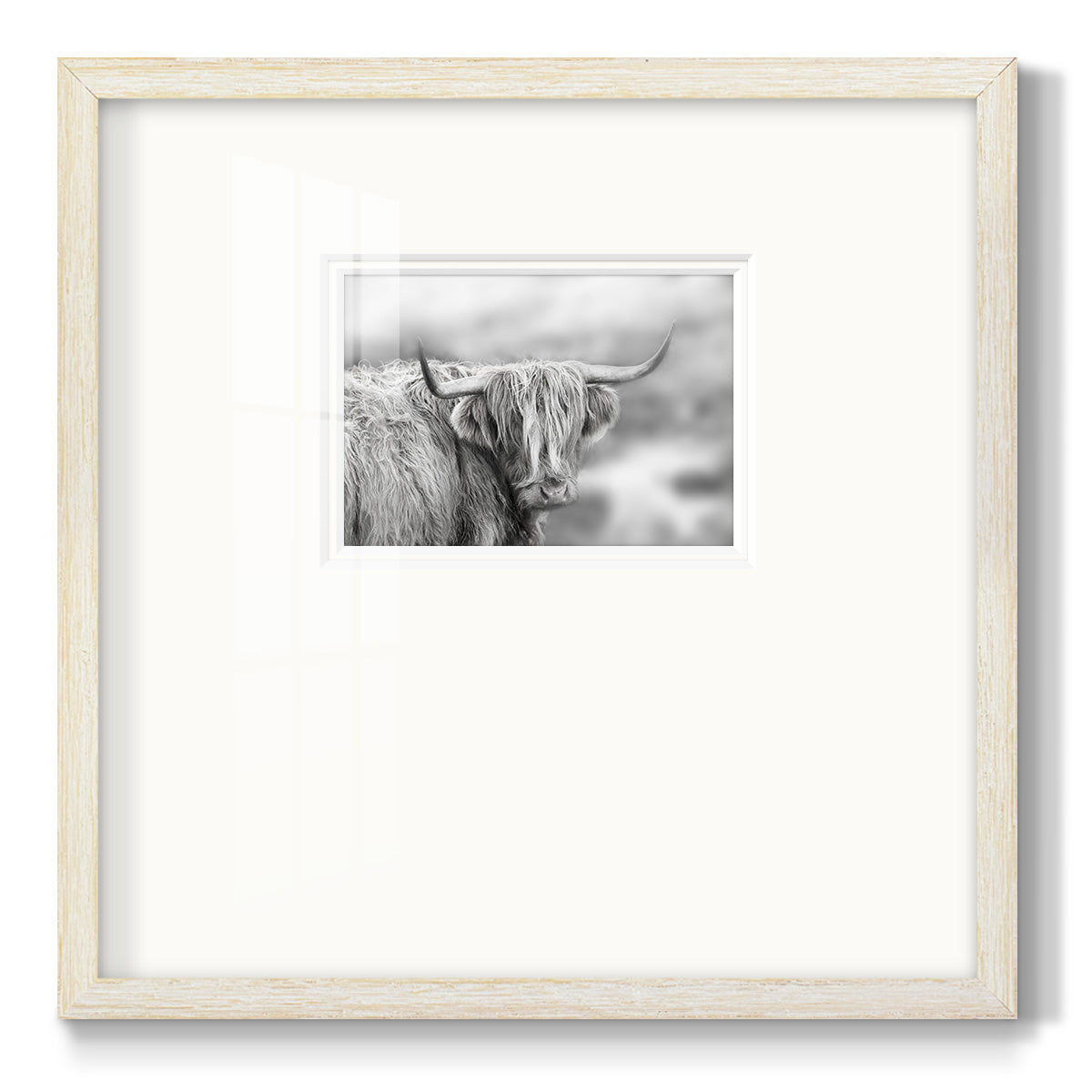 Roaming Isle of Skye Premium Framed Print Double Matboard