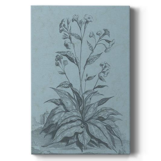 Botanical on Teal VI - Canvas Art Print