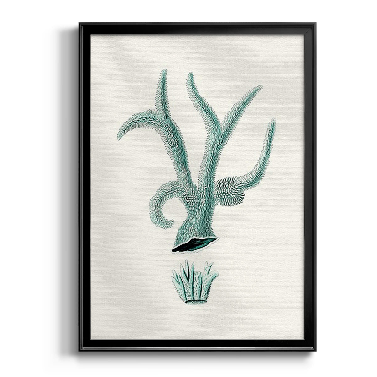 Antique Coastal Coral XII - Modern Framed Canvas Print