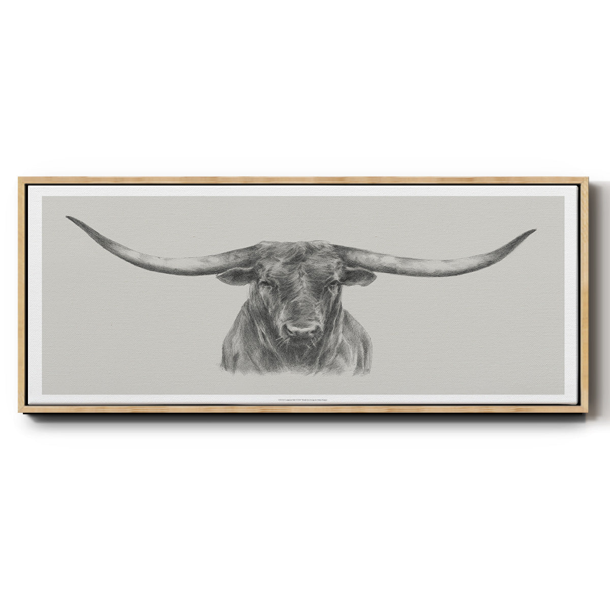 Longhorn Bull - Floater Framed Canvas Print