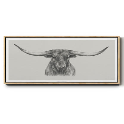 Longhorn Bull Sketch - Floater Framed Canvas Print