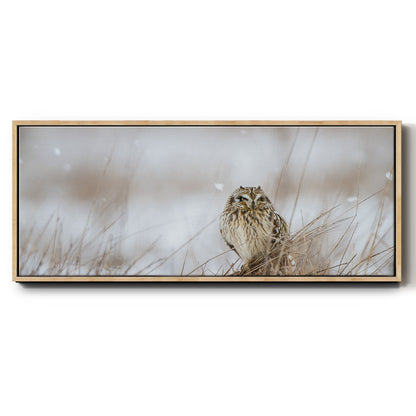 Prairie Winter - Floater Framed Canvas Print