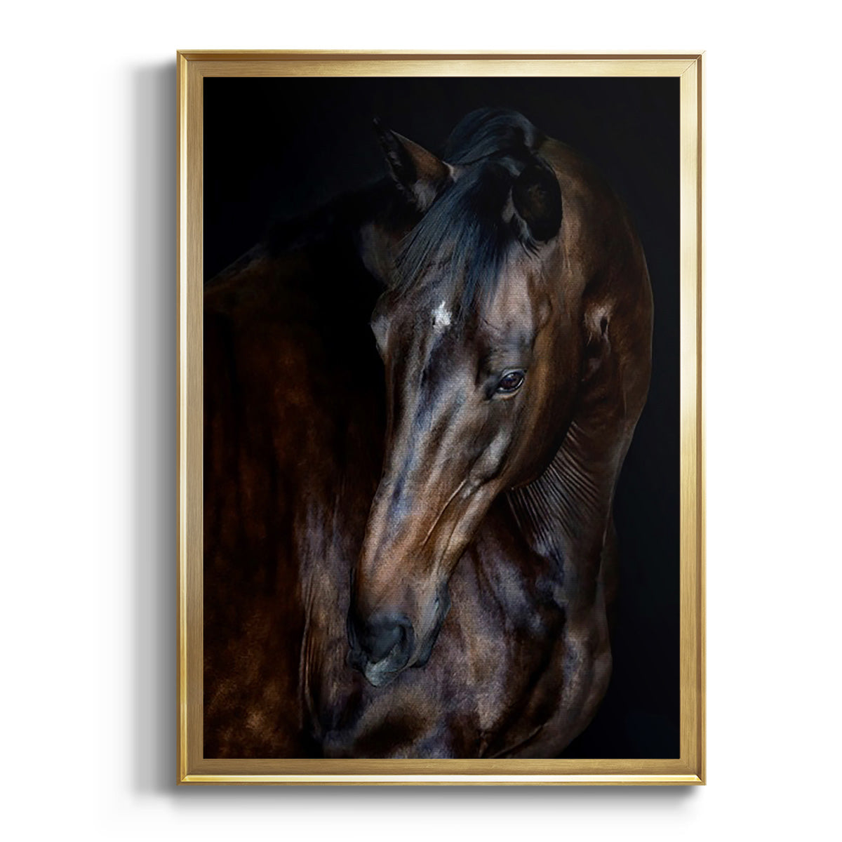 Sunlit Horses I - Modern Framed Canvas Print