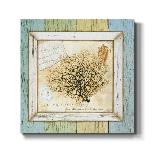 Sea Treasures III-Premium Gallery Wrapped Canvas - Ready to Hang