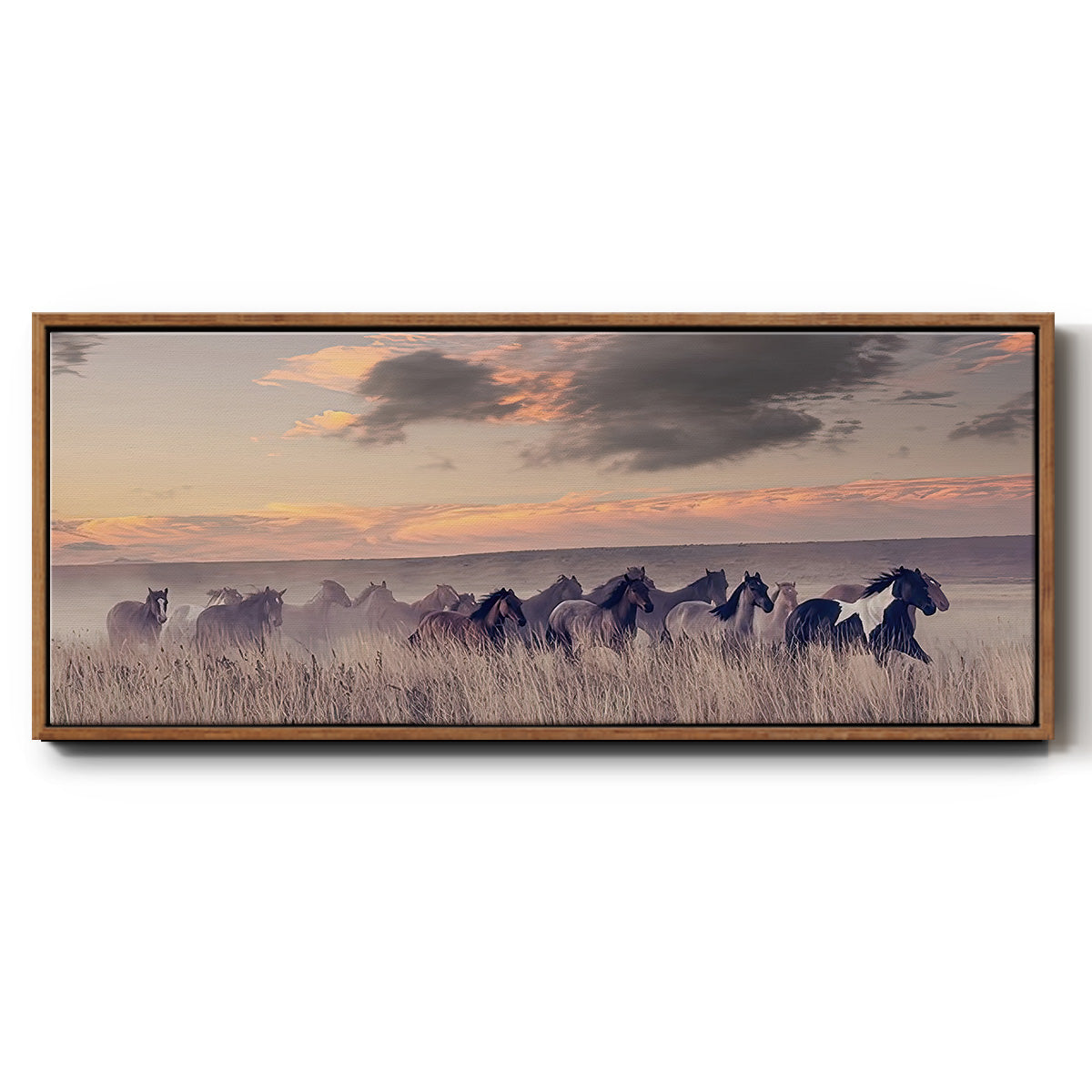 Wild and Free II - Floater Framed Canvas Print