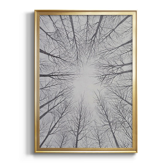 Deciduous Canopy II - Modern Framed Canvas Print