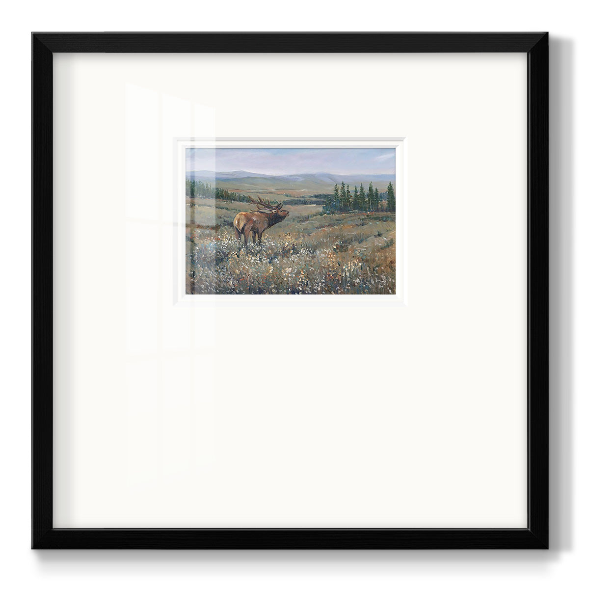 Western Wildlife I - Double Matboard Framed Print
