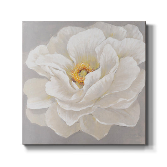 White Peony I - Canvas Art Print