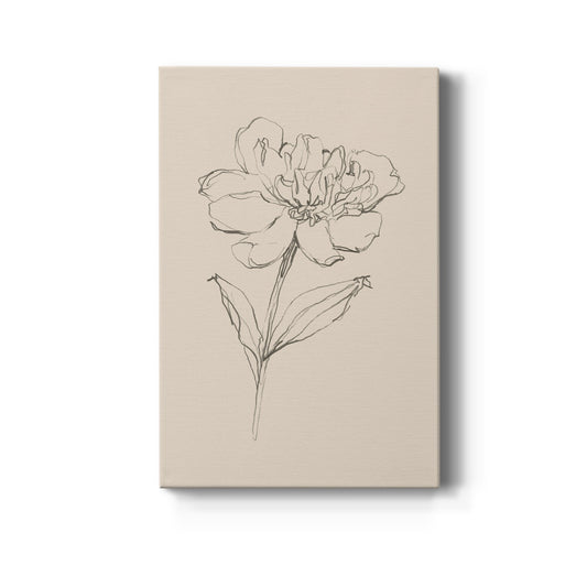 Floral Contour Study III Premium Gallery Wrapped Canvas - Ready to Hang