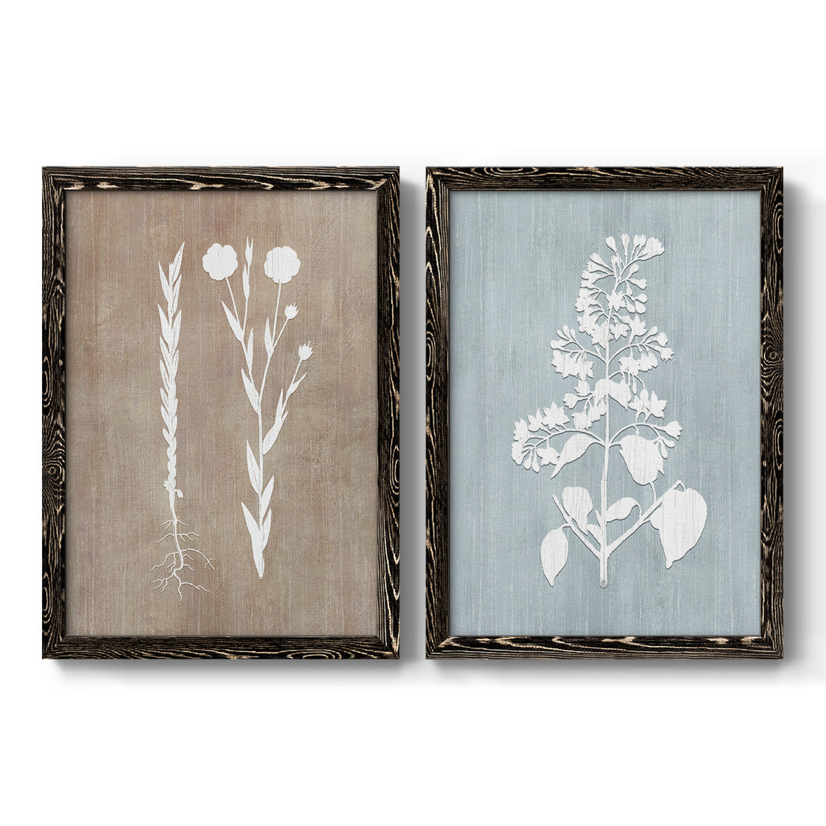 Botany Beauty III - Premium Framed Canvas 2 Piece Set - Ready to Hang