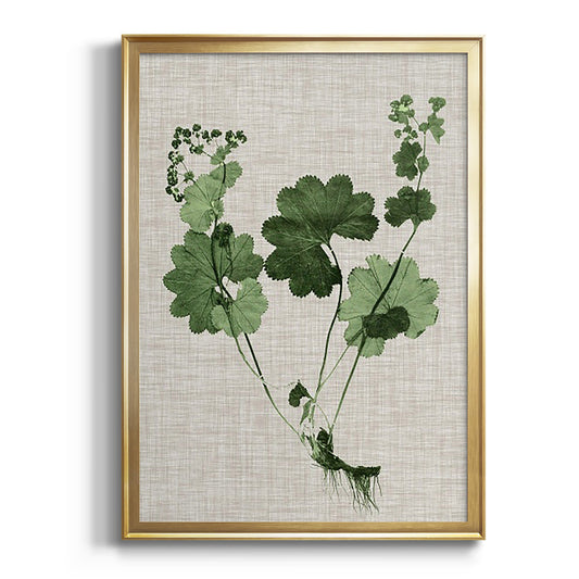 Forest Foliage on Linen I - Modern Framed Canvas Print