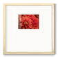 Spring Fire - Double Matboard Framed Print