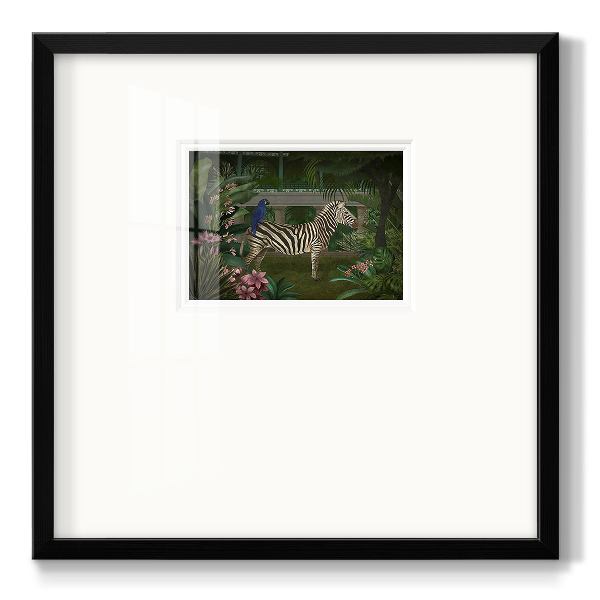 Zebra In Conservatory Premium Framed Print Double Matboard