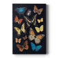 Collected Flutter IV - Canvas Art Print