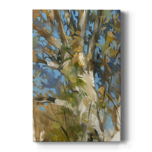 Oak Tree - Canvas Art Print