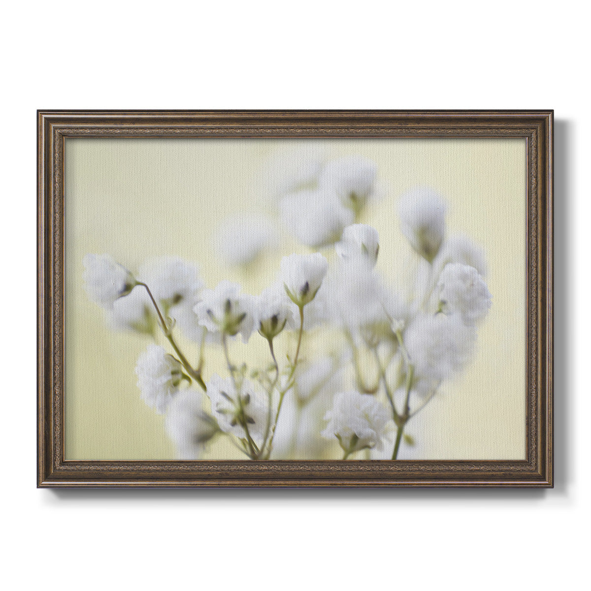 Baby's Breath Study IV Premium Framed Canvas- Ready to Hang