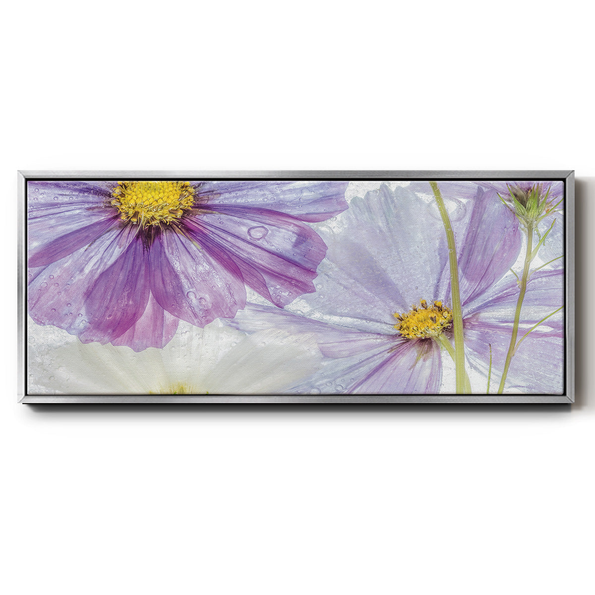 Frozen Floral II - Floater Framed Canvas Print