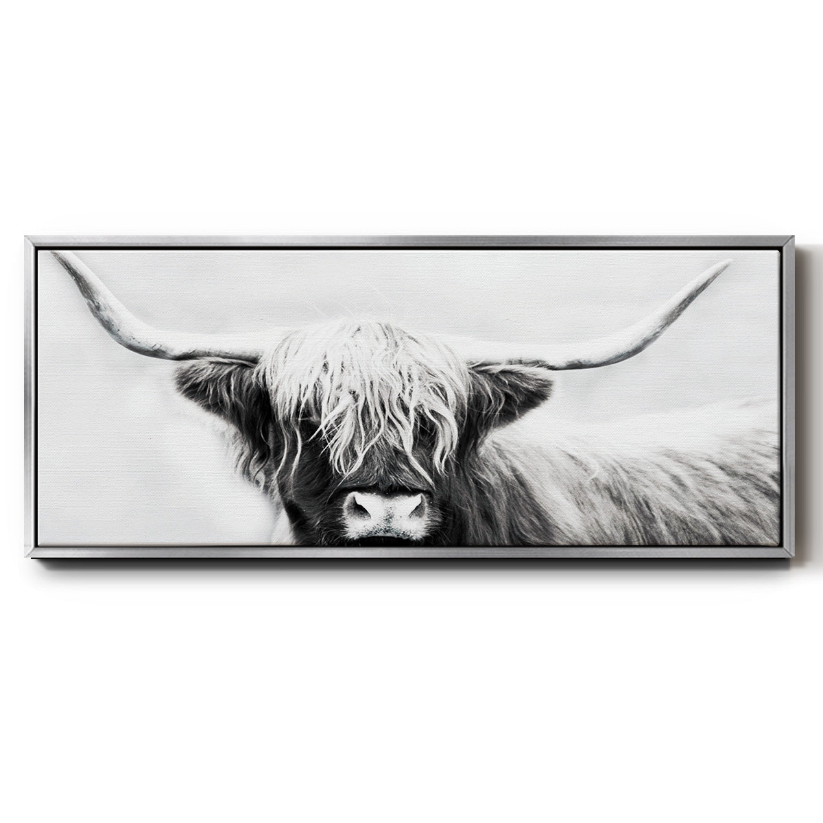 Highland Longhorn - Floater Framed Canvas Print – 13" x 31" / Silver Floater – Renditions Art