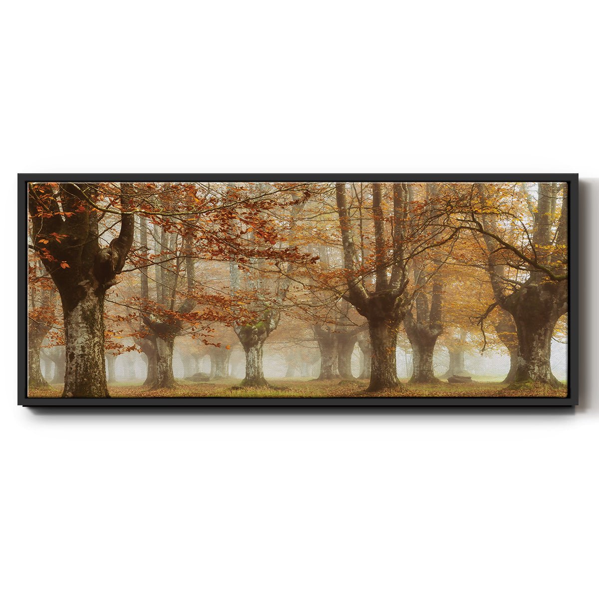 Misty Pan - Floater Framed Canvas Print