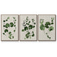 Forest Foliage on Linen I - Floater Framed Canvas Set