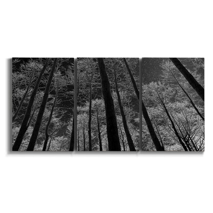 Three-panel canvas wall art featuring riverside houses along canal on white background.