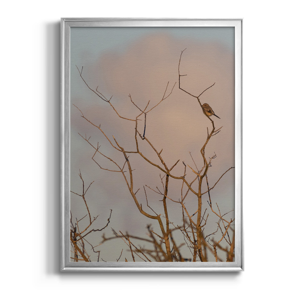 At Dawn - Modern Framed Canvas Print