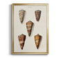 Cone Shell Collection II - Modern Framed Canvas Print