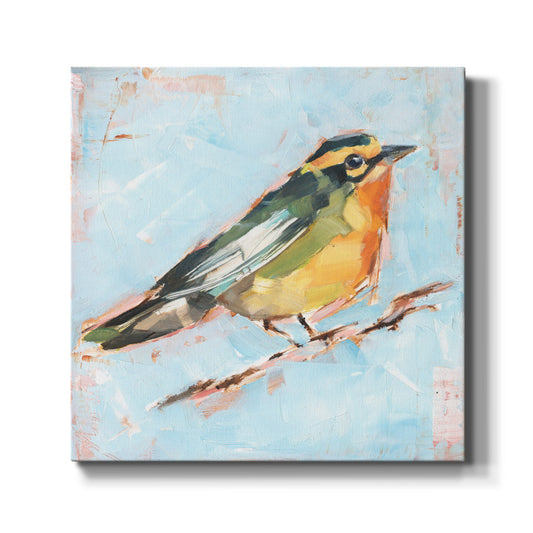 Bird Variety IV - Canvas Art Print