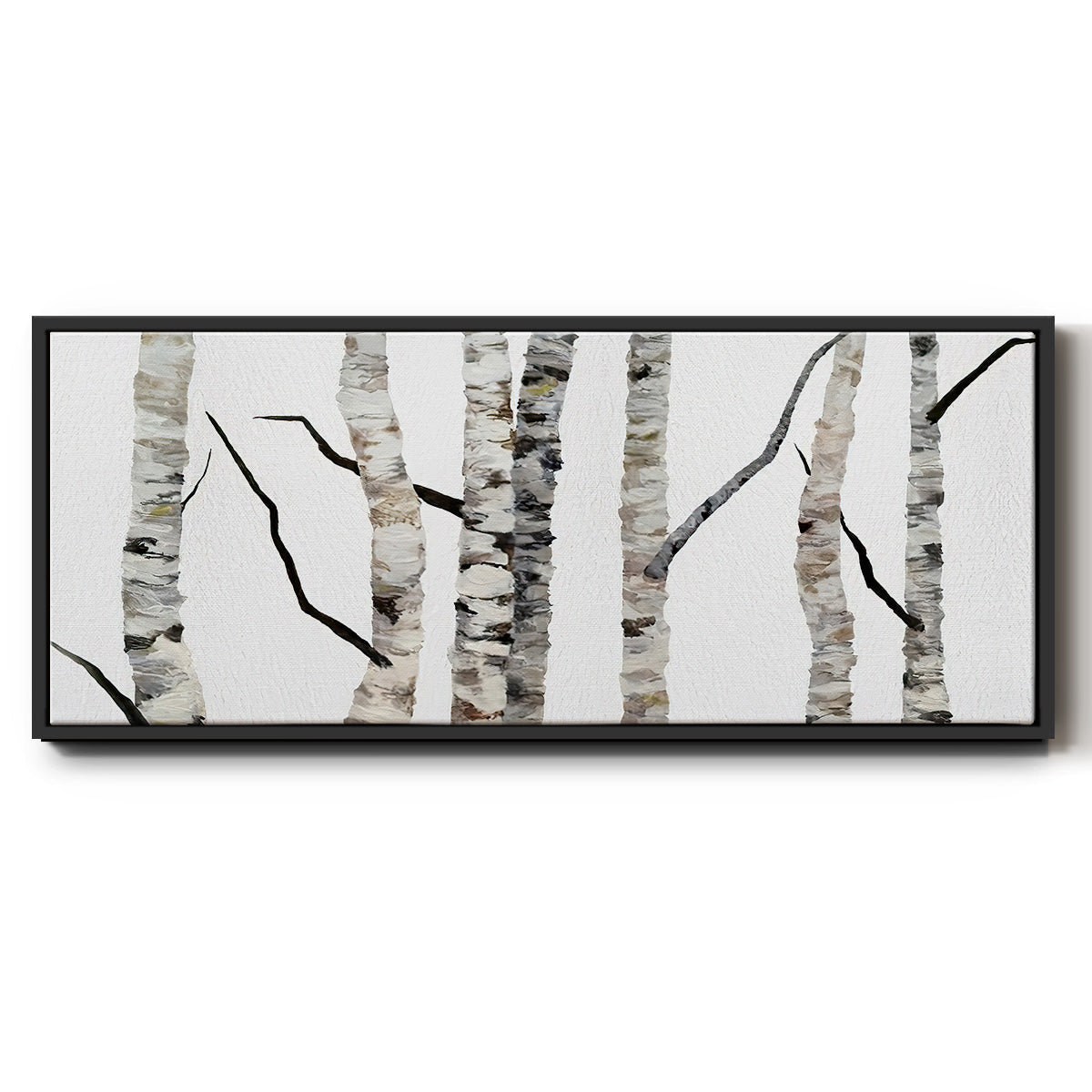 Birch Trees II - Floater Framed Canvas Print