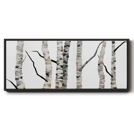 Birch Trees II - Floater Framed Canvas Print