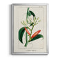 Turpin Tropical Botanicals IX - Modern Framed Canvas Print