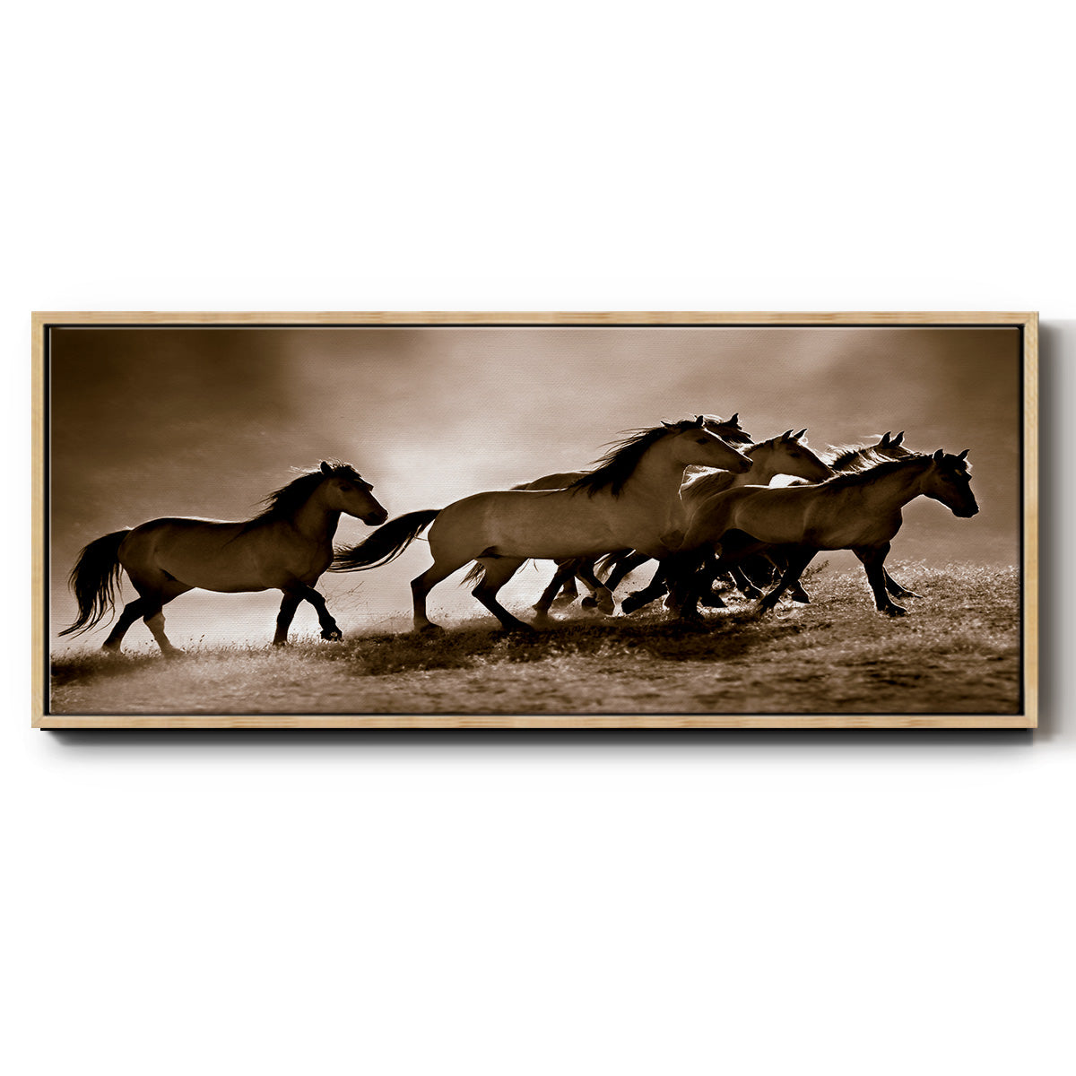 Wild Horses - Floater Framed Canvas Print
