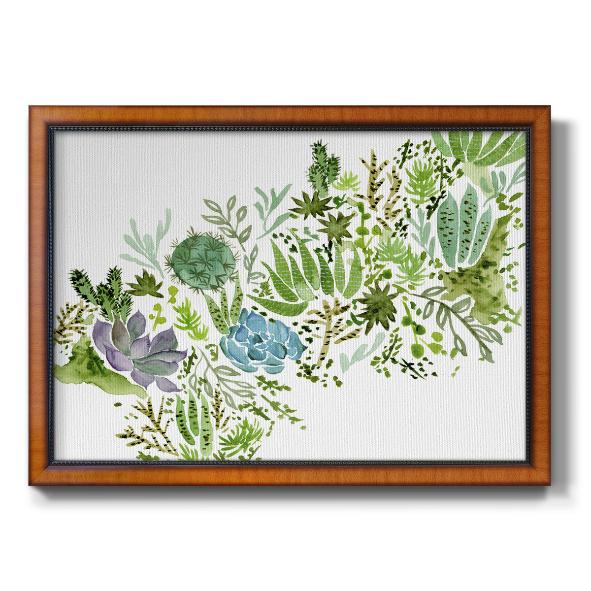 Succulent Field I Premium Framed Canvas- Ready to Hang