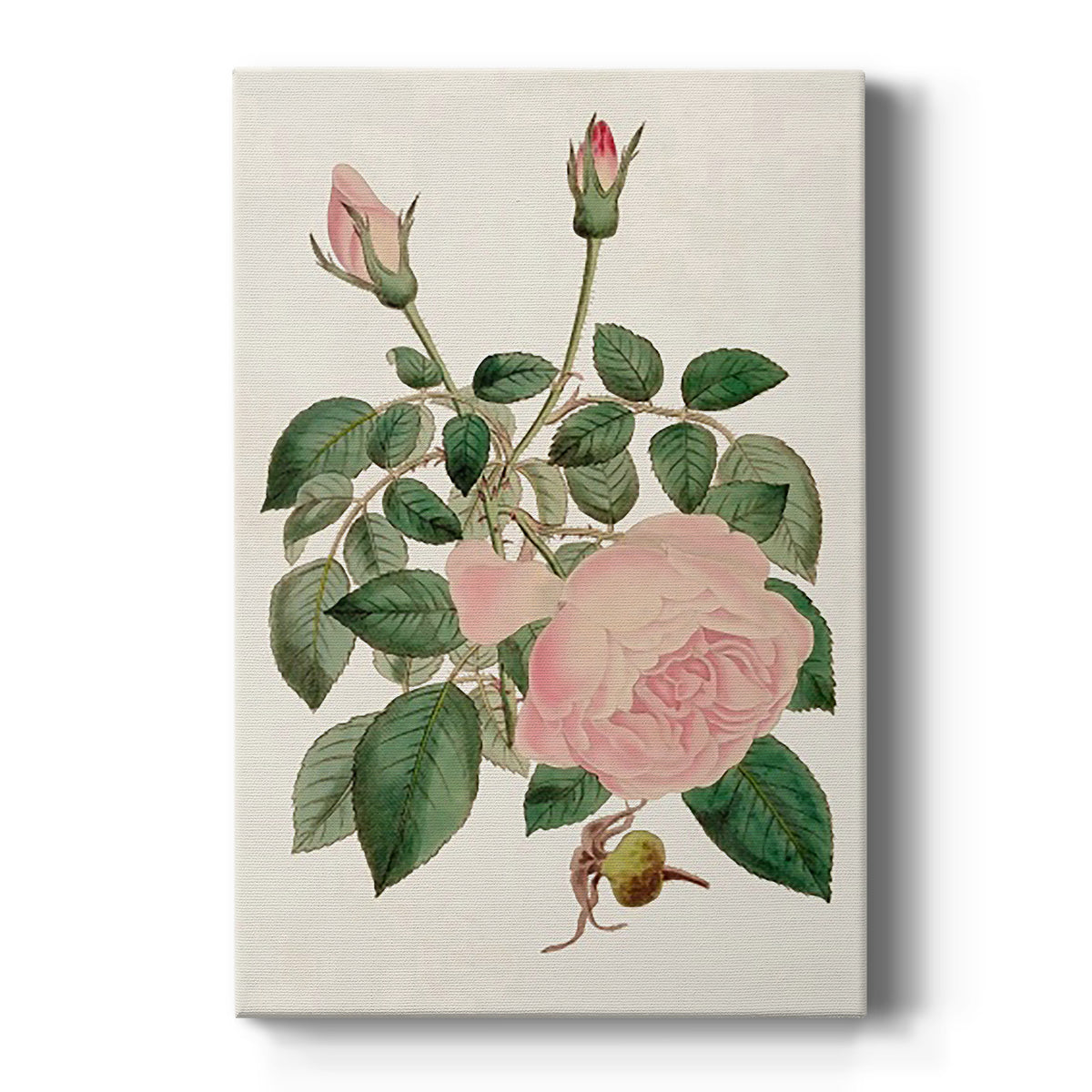 Pink Floral Mix II - Canvas Art Print