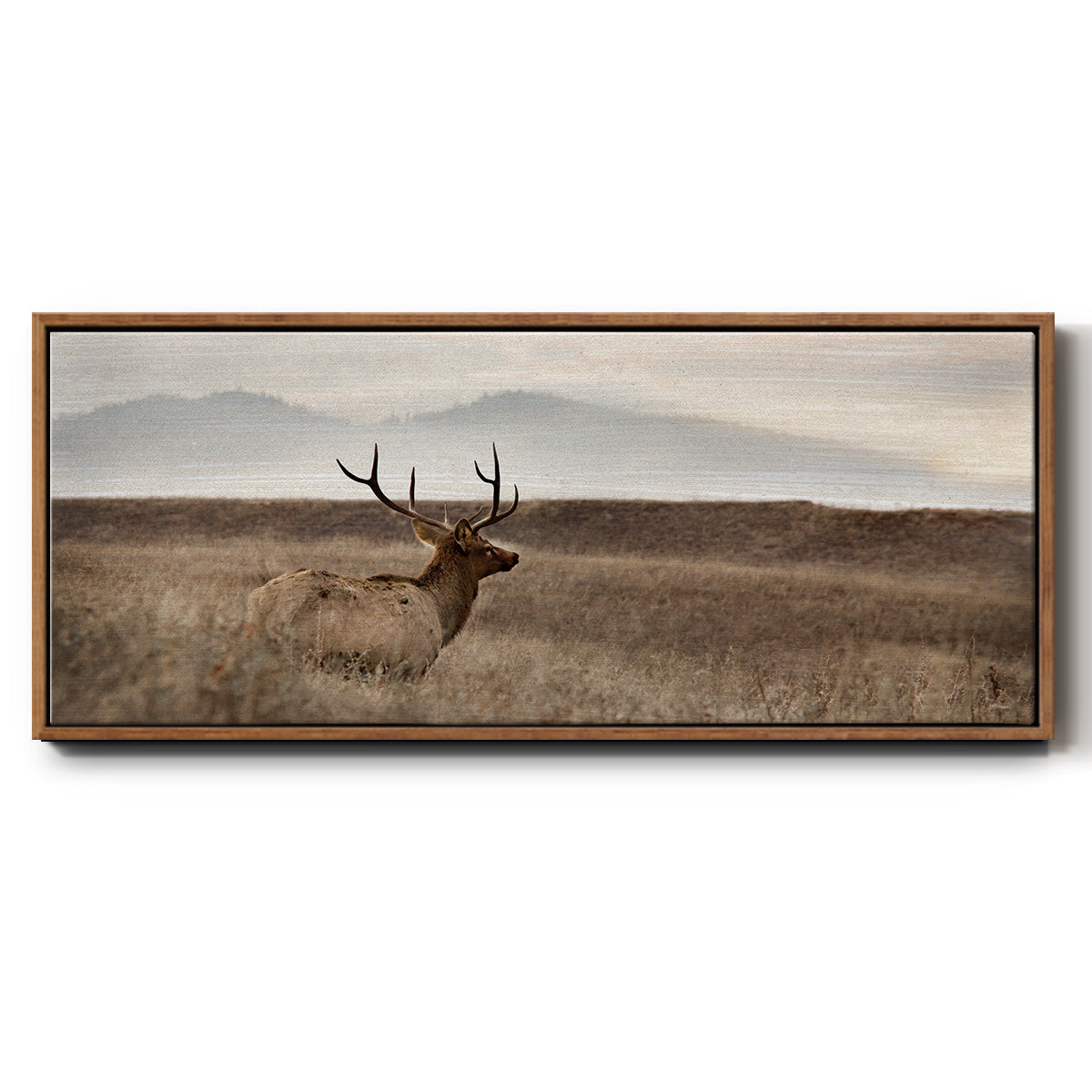 Now You See Me - Floater Framed Canvas Print