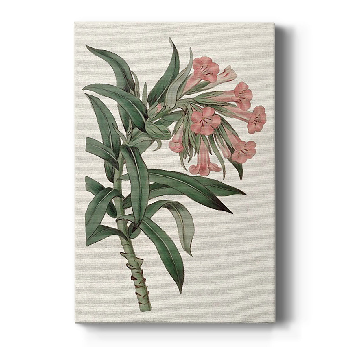 Pink Floral Mix VI - Canvas Art Print