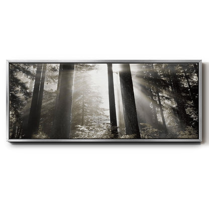 Morning Light - Floater Framed Canvas Print