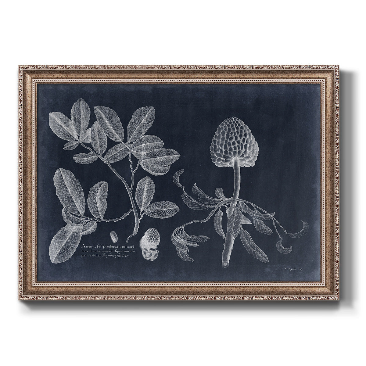 Foliage on Navy II Premium Framed Canvas- Ready to Hang