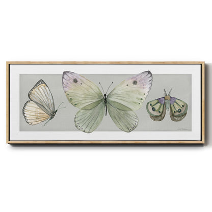 Pretty Insects II - Floater Framed Canvas Print