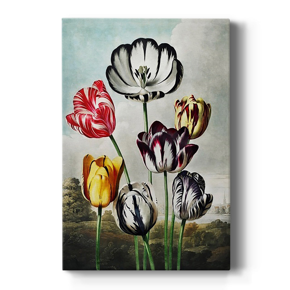 Temple of Flora VI - Canvas Art Print