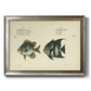 Bloch Antique Fish II Premium Framed Canvas- Ready to Hang