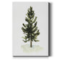 Watercolor Pine I Premium Gallery Wrapped Canvas - Ready to Hang